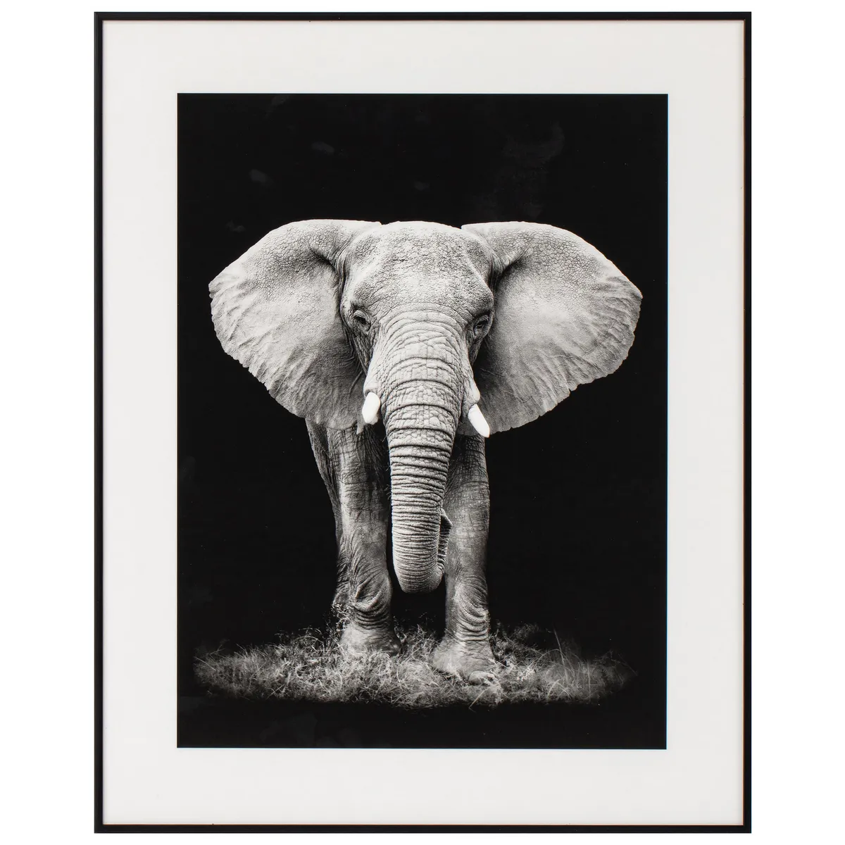 JUST HOME COLLECTION - Cuadro Elefante 40x50 cm