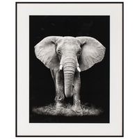 Cuadro Elefante 40x50 cm