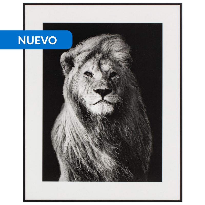 JUST HOME COLLECTION - Cuadro Leon 40x50 cm