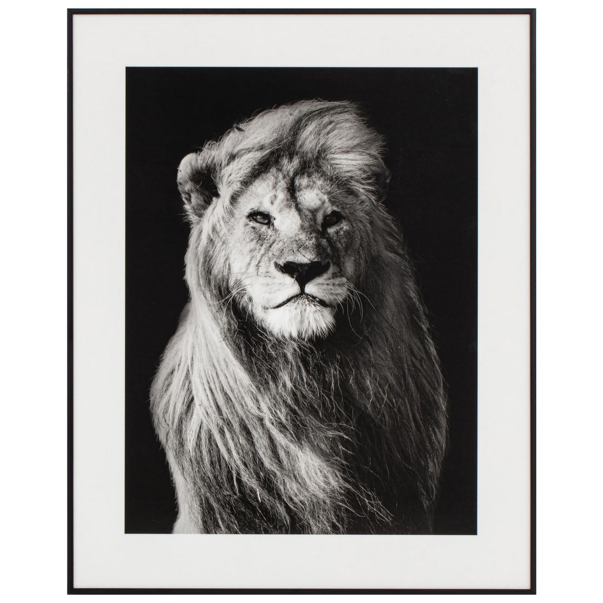 JUST HOME COLLECTION - Cuadro Leon 40x50 cm