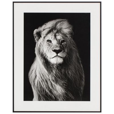 Imagen 2 del producto Cuadro Leon 40x50 cm