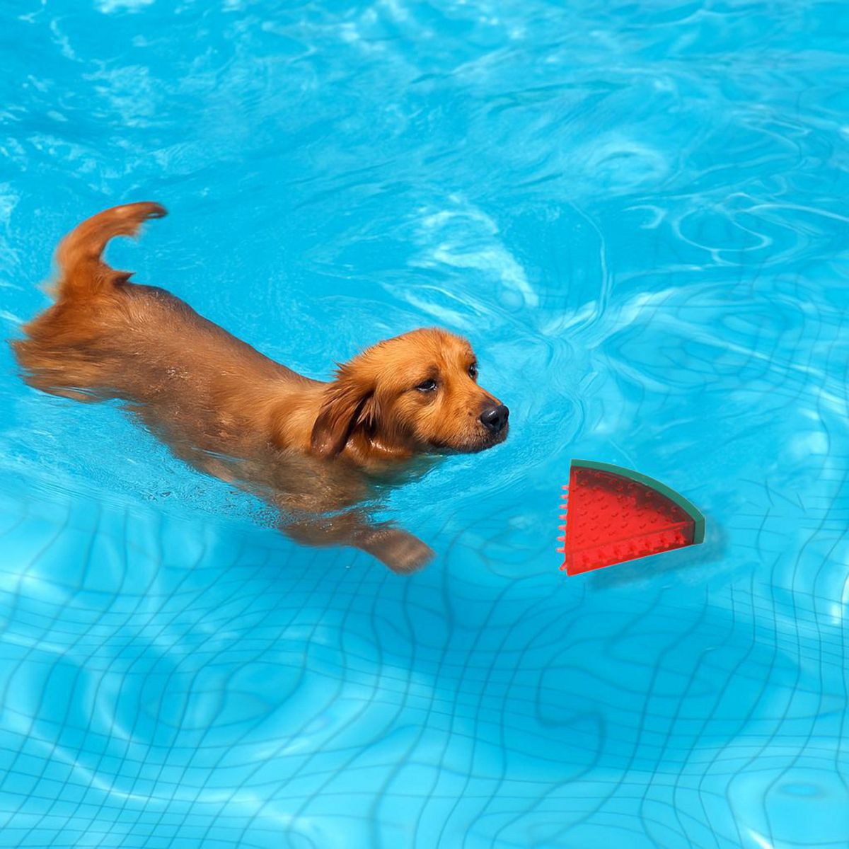 PETIZOOS - Set 2 juguetes con gel sandia