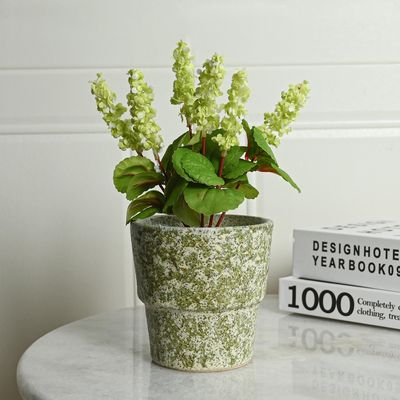 Imagen 2 del producto Macetero verde de 11x11 cm Verde