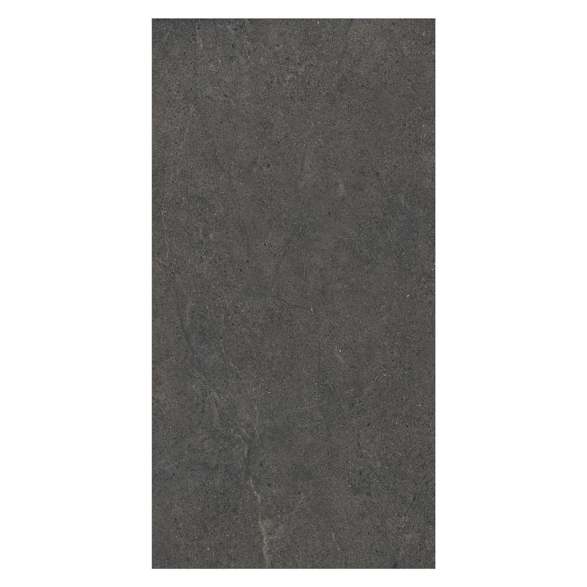 LA FENICE - Porcelanato 60x120 cm Lime Nero Negro 1.44 m2
