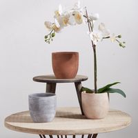 Macetero de Greda 14x14 cm Colores Surtidos