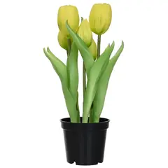 JUST HOME COLLECTION - Tulipan amarillo 8 cm Amarillo