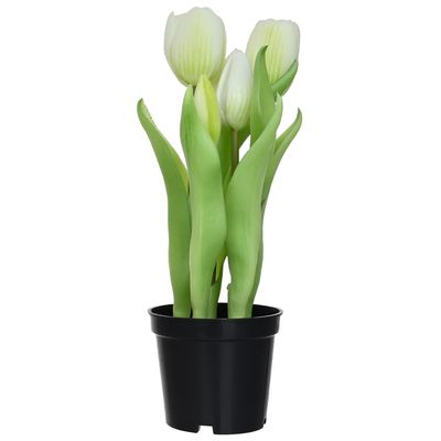 Imagen 2 del producto Tulipan blanco 8 cm Blanco