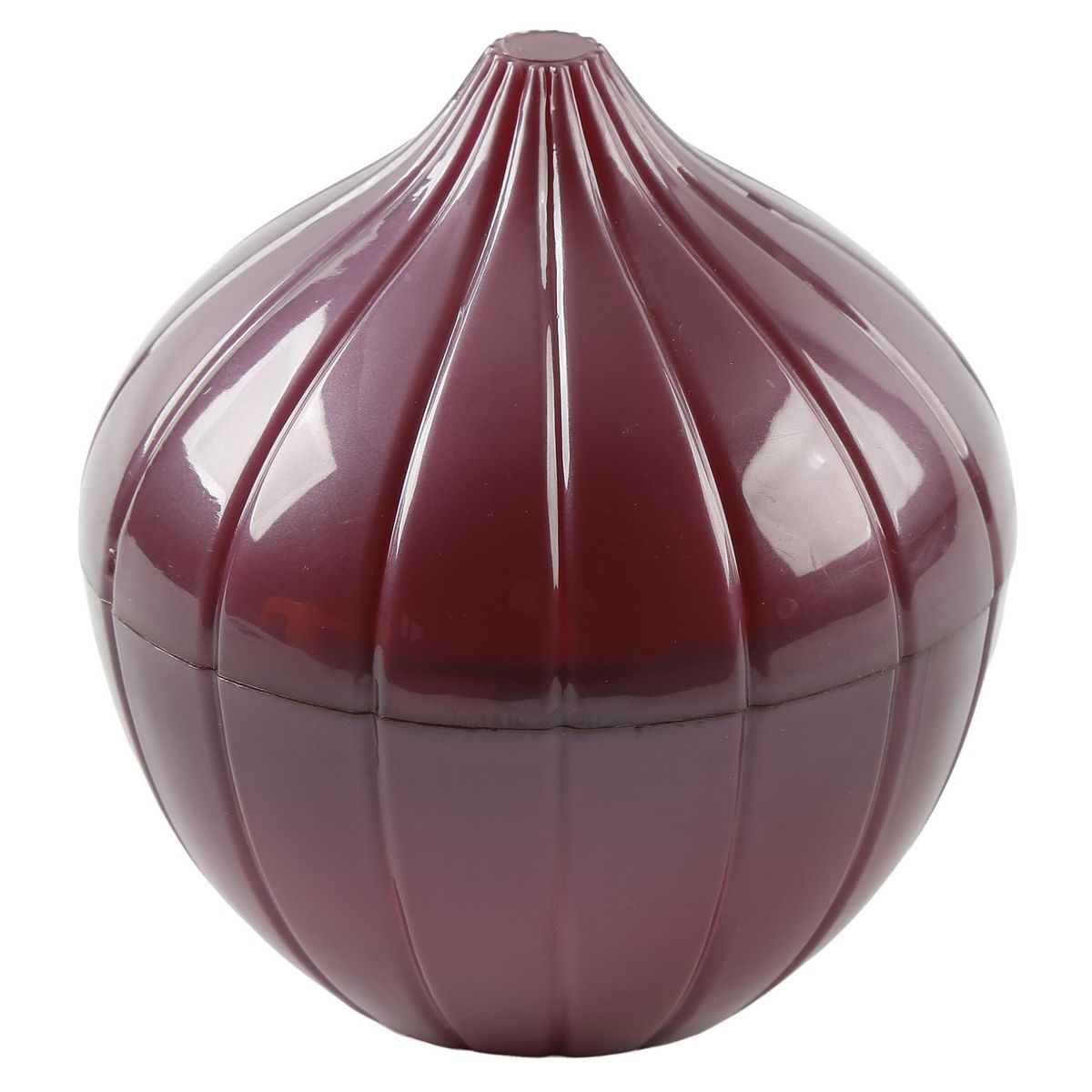 JUST HOME COLLECTION - Conservador de Cebolla ABS 300 ml