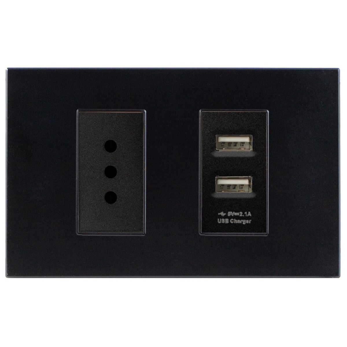 HALUX - Toma Simple 10A +2Usb-A B