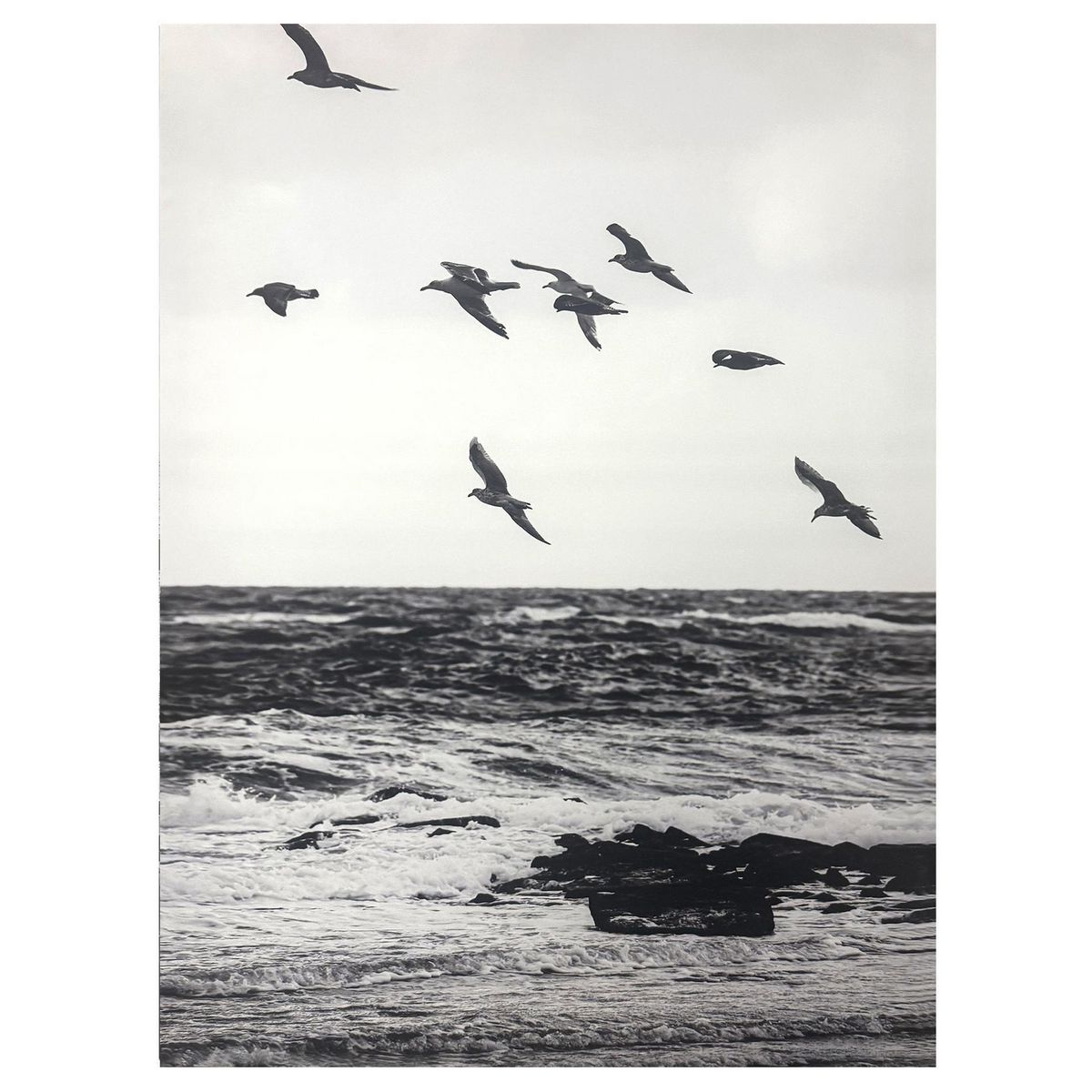 Cuadro Beach Birds 60x60 cm, marca JUST HOME COLLECTION - Foto 2
