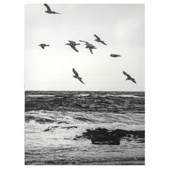 JUST HOME COLLECTION - Canvas HL1528909 60x60 cm