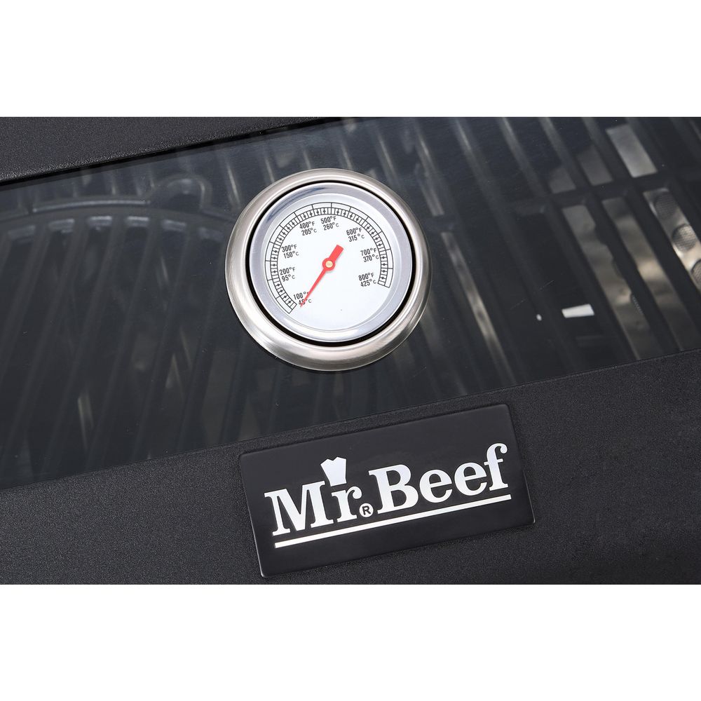 Mr Beef EA14S21 Empotrable 4 Quemadores, foto 9