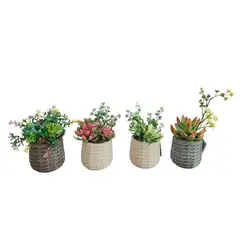 JUST HOME COLLECTION - Planta artificial Diseños Surtidos