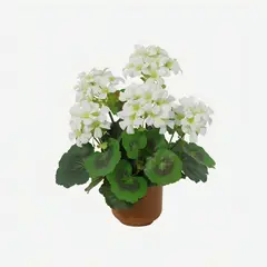 JUST HOME COLLECTION - Planta Artificial Begonia 34 cm Blanca