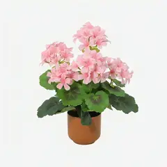 JUST HOME COLLECTION - PLANTA ARTIFICIAL BEGONIA ROSADA 34 cm Rosado