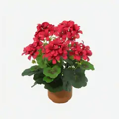 JUST HOME COLLECTION - PLANTA ARTIFICIAL BEGONIA ROJA 34 cm Rojo