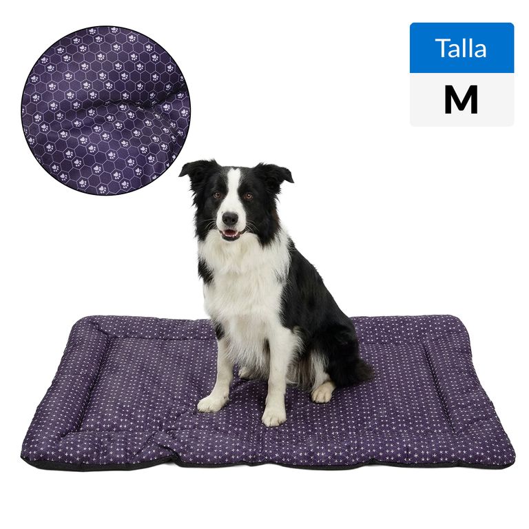 Cama para Perro 3x56x90 cm Azul