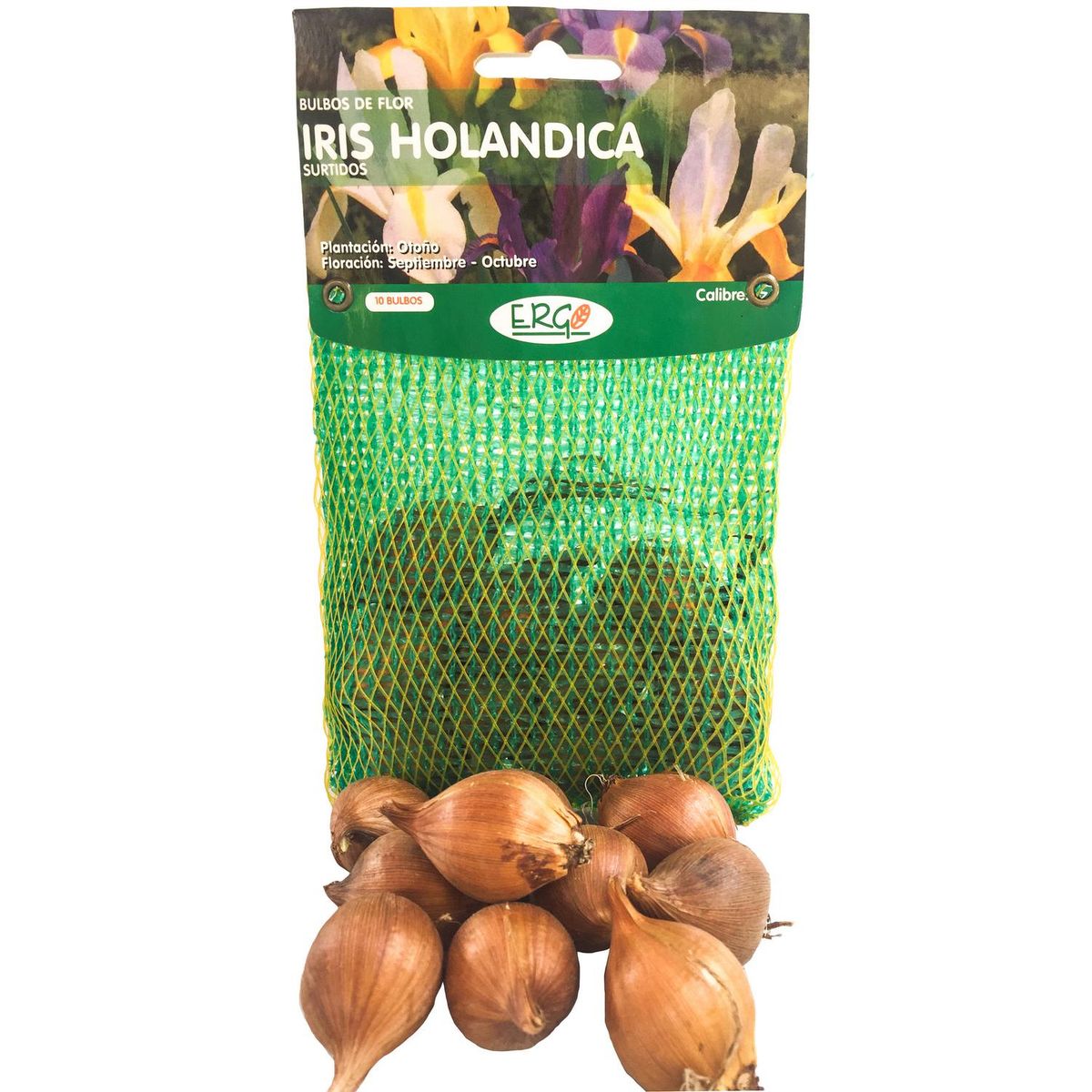 ERGO - Bulbo irirs holándica surtido 10 unidades