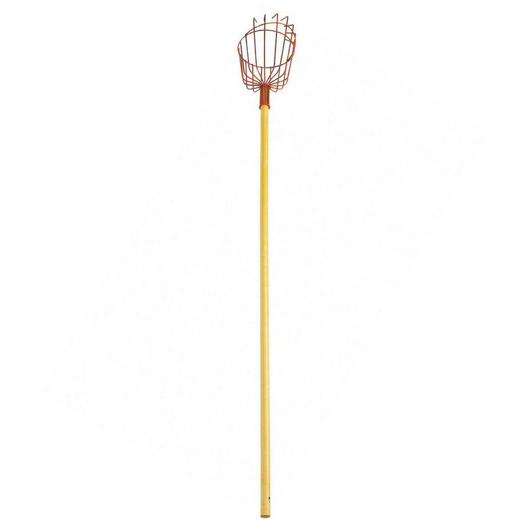 Recogedor De Frutas Metálico Extensible 150 Cm Para Jardín