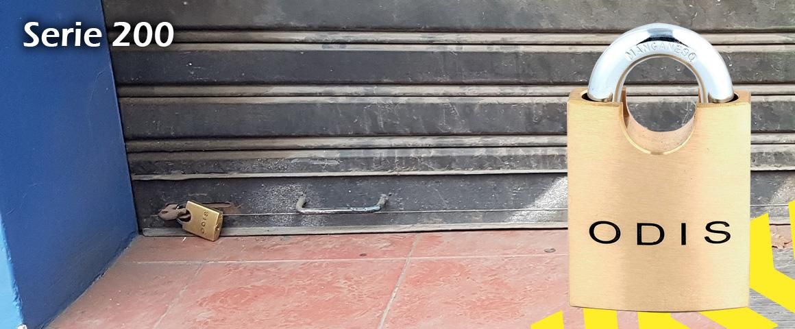 Candado de seguridad