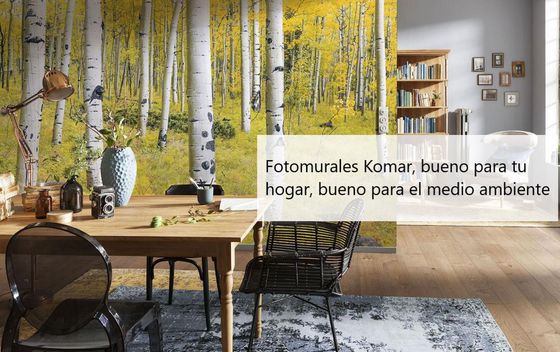 Fotomural papel