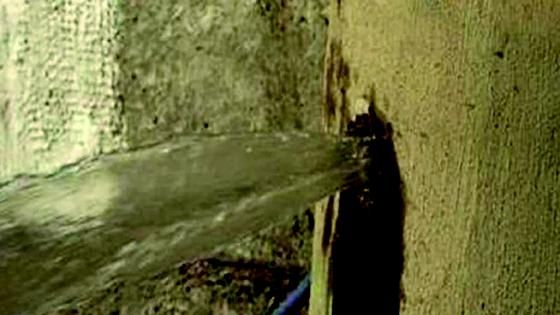 Cave II plug solo necesita agua 