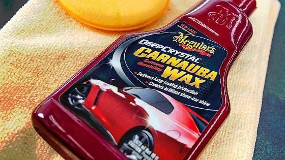 carnauba wax 2