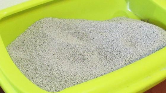 TRAPER ARENA SANITARIA