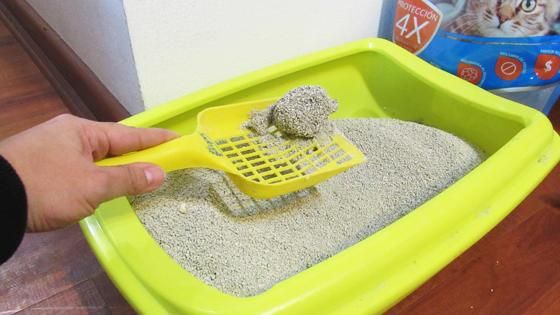 TRAPER ARENA SANITARIA