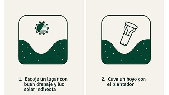 Primer paso