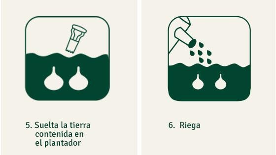 Tercer paso
