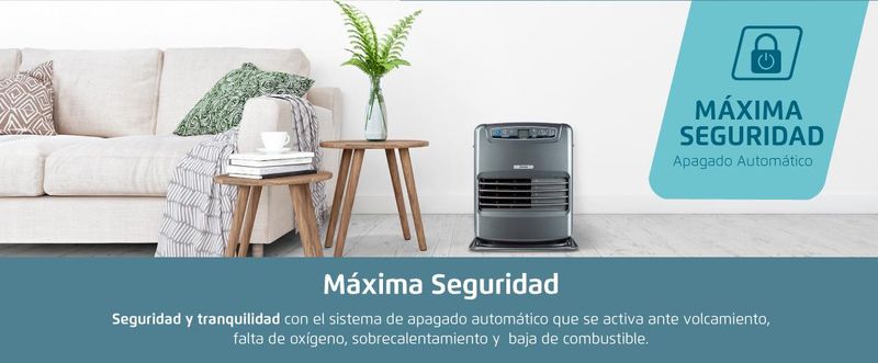 Maxima seguridad