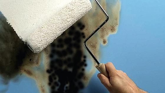 primer, imprimante, zinsser, rust oleum, bloqueador manchas olores, elimina manchas, elimina olores, manchas, olores, preparación superficies