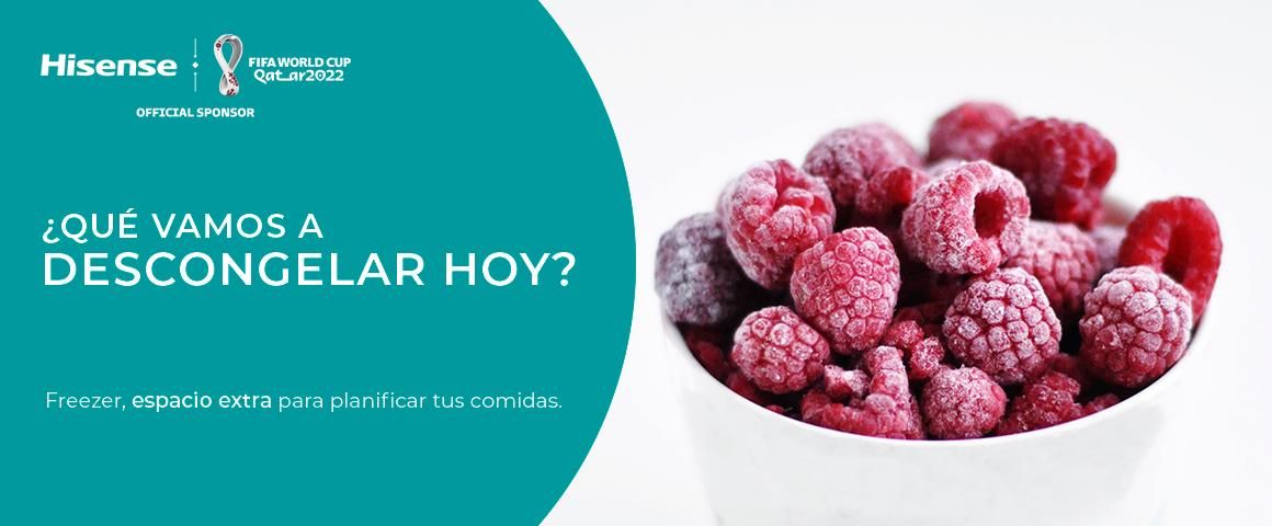 Freezer, espacio extra para plificar tus comidas
