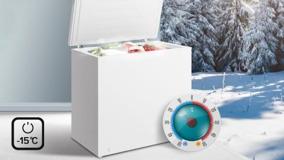 Winter Security