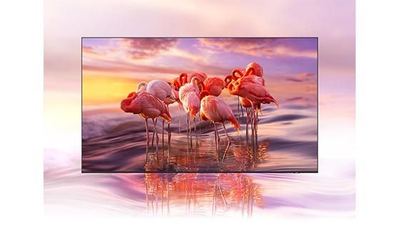 QLED Samsung 50