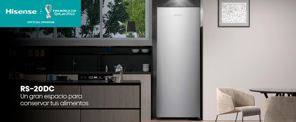Freezer vertical RS-20DC