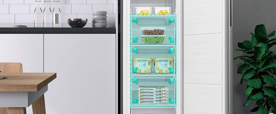 Big Freezer Box