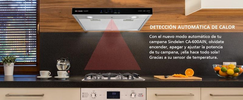 CAMPANA SINDELEN