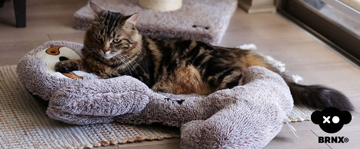 cama para mascotas perros y gatos