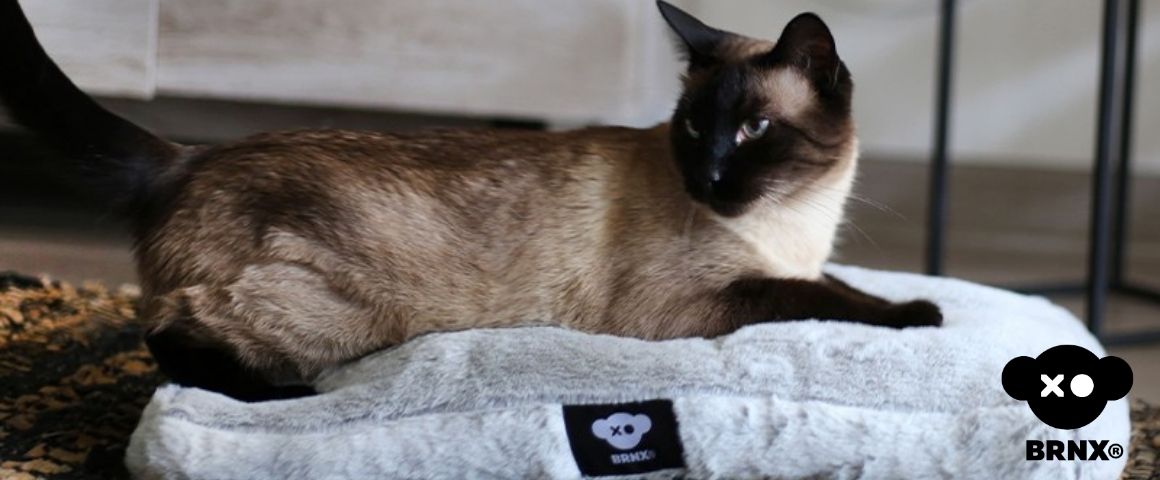 Cama para mascotas perros y gatos