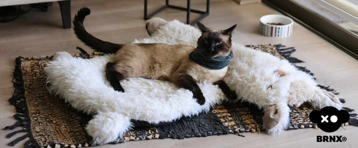 cama para perros y gatos mascotas