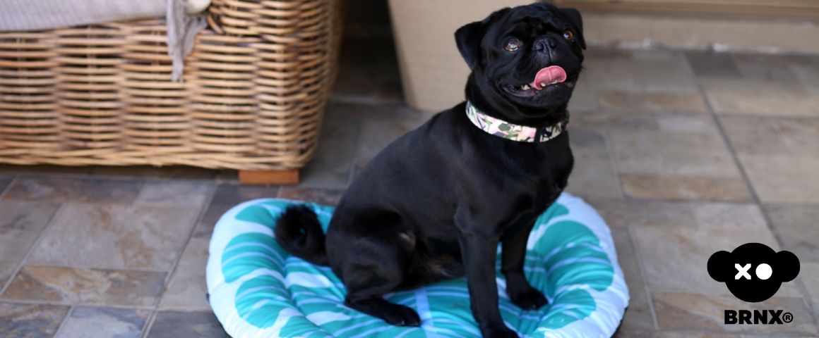 cama para mascotas perros y gatos