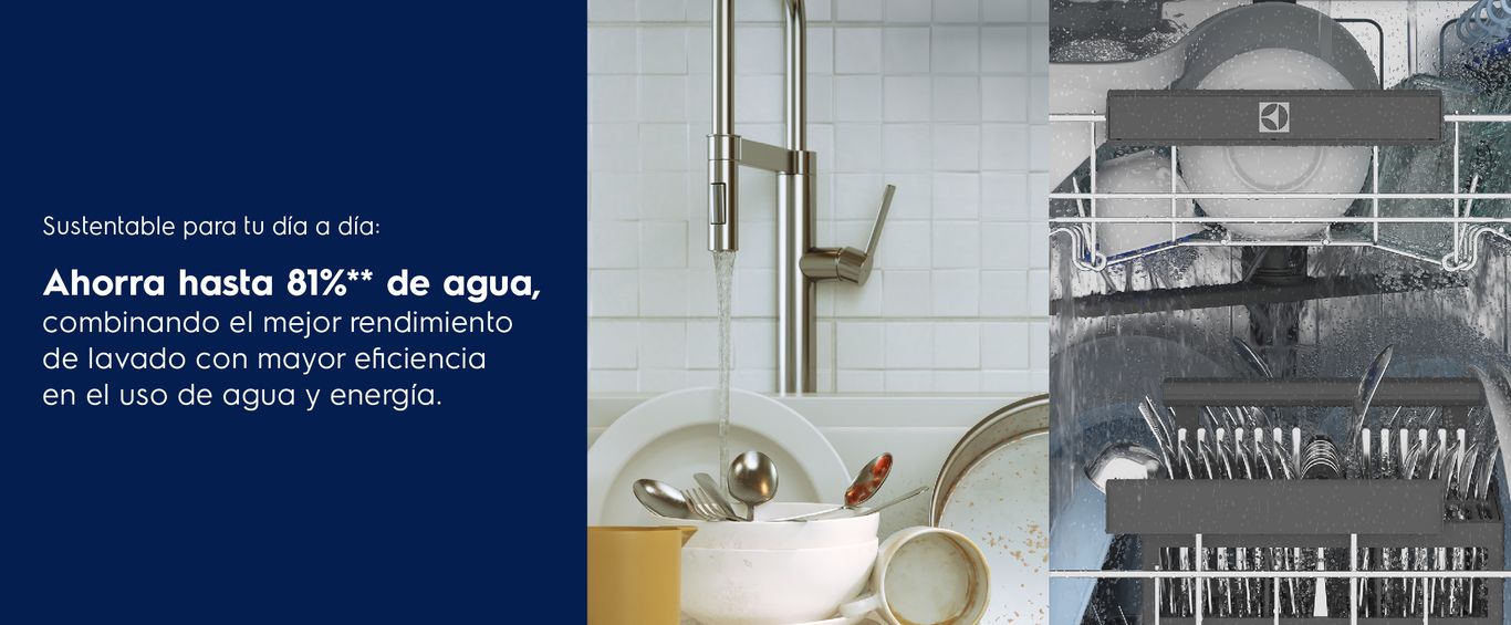 Ahorra hasta 81% de agua