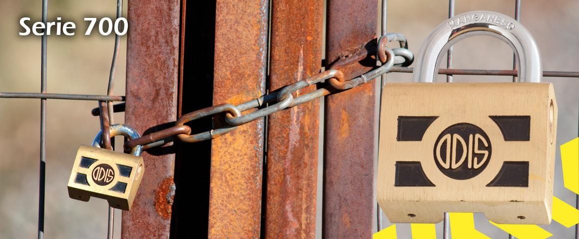 Candado de seguridad