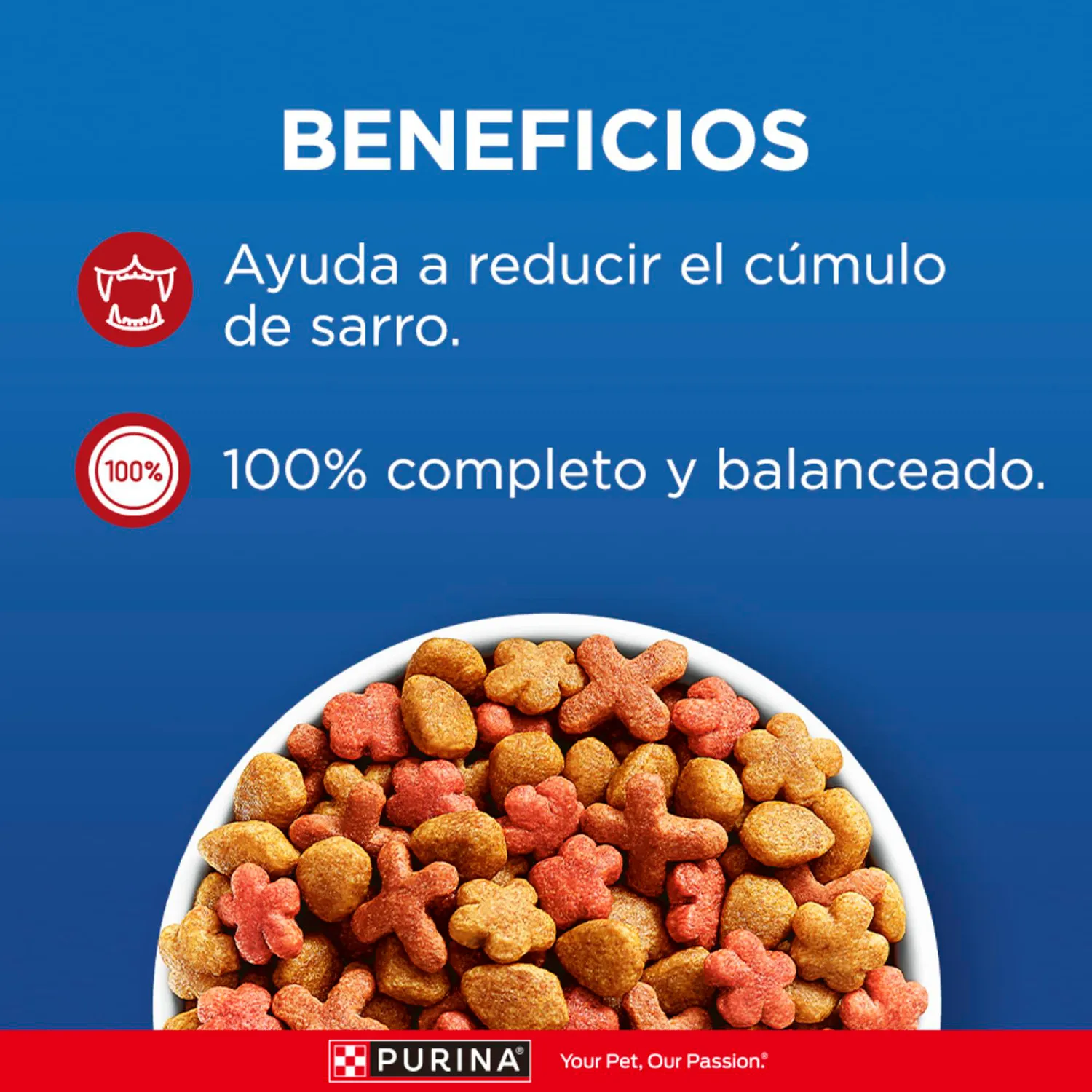 Comida Seca Para Gato Adulto Activos Carne Cat Chow 8kg 6