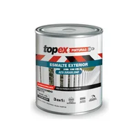 Esmalte para Exterior 3 en 1 Brillante Anoloc Champaña Topex 1 galón