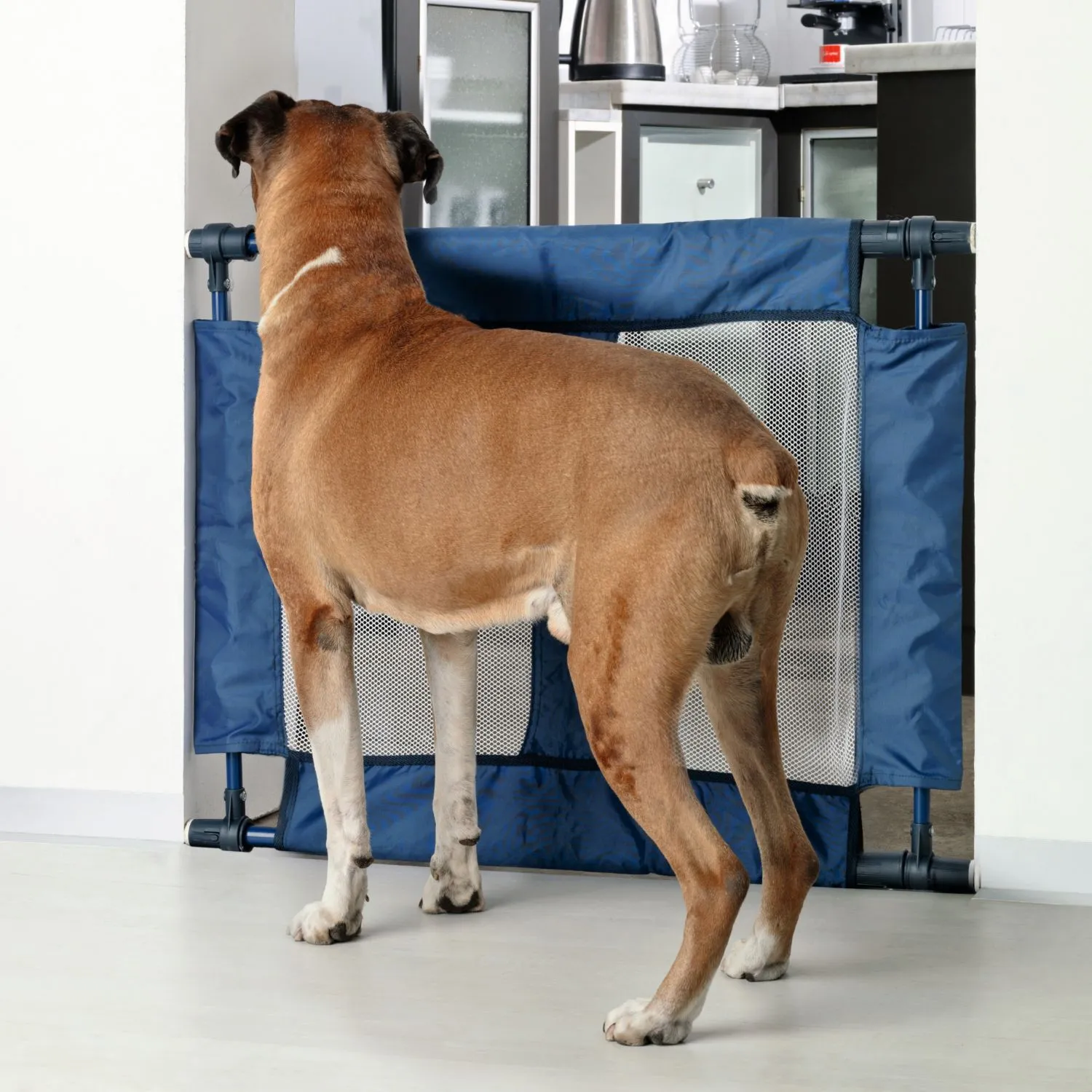 Puerta Seguridad Plegable en Acero y Tela Azul 92x70 cm 3