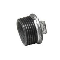 Tapón Galvanizado 1