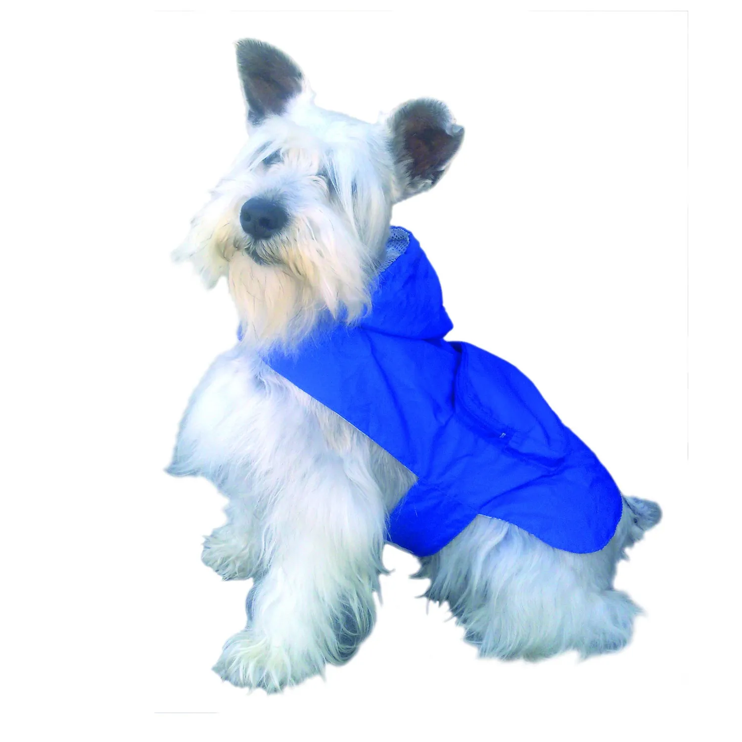 Capa Impermeable Para Perro Petizoos Talla L 5